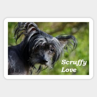 Scruffy Love Sticker